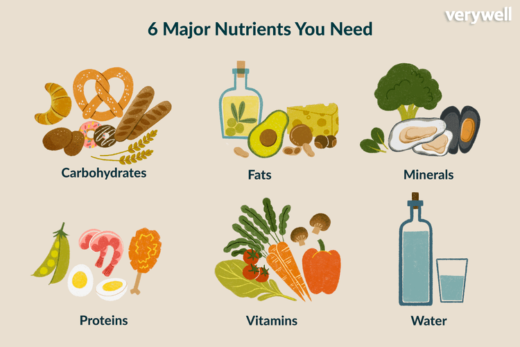 Nutrients for everyone's